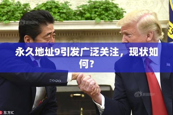 永久地址9引发广泛关注，现状如何？