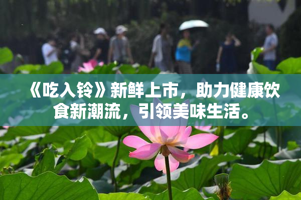 《吃入铃》新鲜上市，助力健康饮食新潮流，引领美味生活。