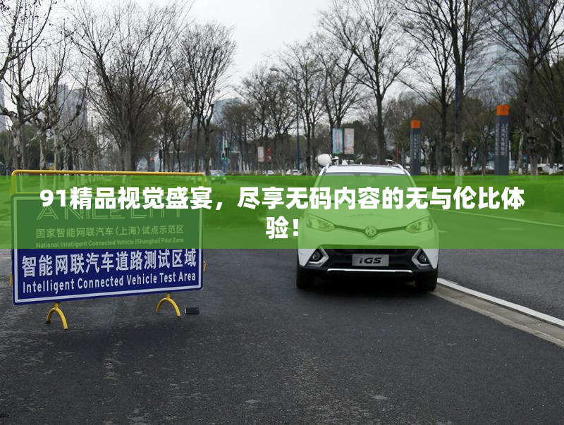 91精品视觉盛宴，尽享无码内容的无与伦比体验！
