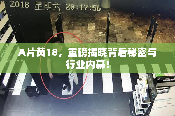 A片黄18，重磅揭晓背后秘密与行业内幕！