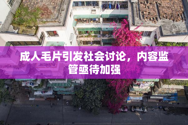 成人毛片引发社会讨论，内容监管亟待加强