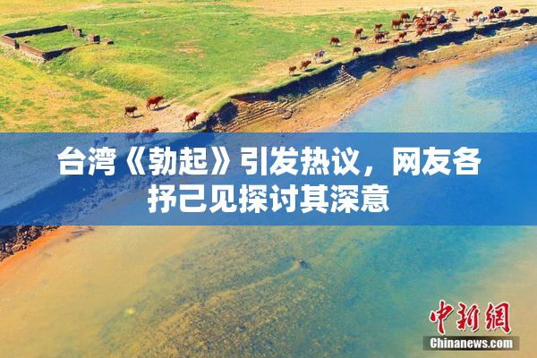 台湾《勃起》引发热议，网友各抒己见探讨其深意
