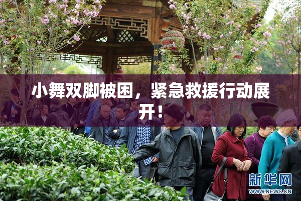 小舞双脚被困，紧急救援行动展开！