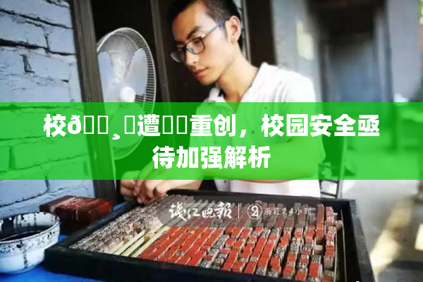 校🌸‌遭❌‌重创，校园安全亟待加强解析