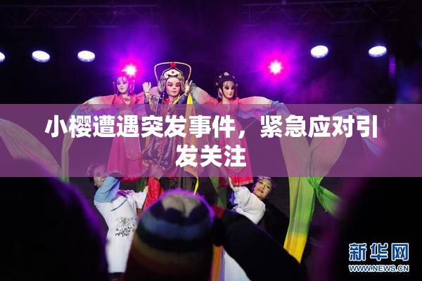 小樱遭遇突发事件，紧急应对引发关注