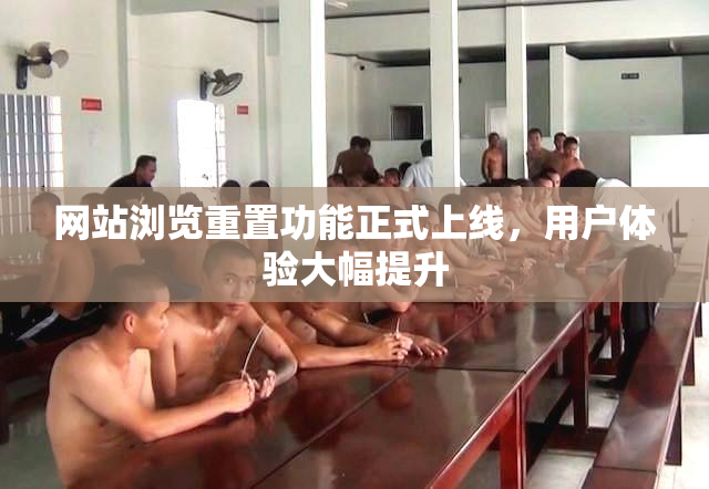 网站浏览重置功能正式上线，用户体验大幅提升