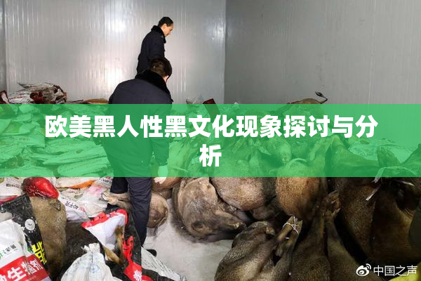 欧美黑人性黑文化现象探讨与分析