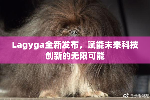 Lagyga全新发布，赋能未来科技创新的无限可能