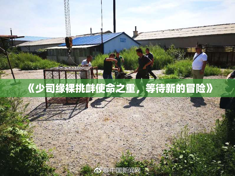 《少司缘裸挑衅使命之重，等待新的冒险》
