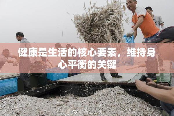 健康是生活的核心要素，维持身心平衡的关键