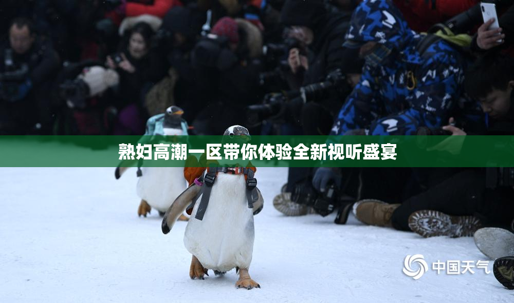 熟妇高潮一区带你体验全新视听盛宴
