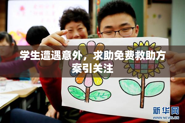 学生遭遇意外，求助免费救助方案引关注