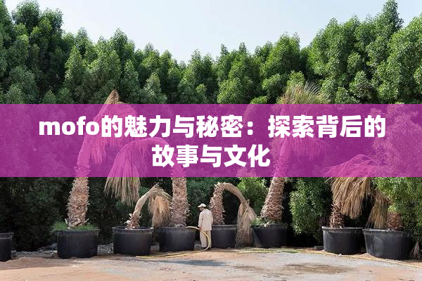 mofo的魅力与秘密：探索背后的故事与文化
