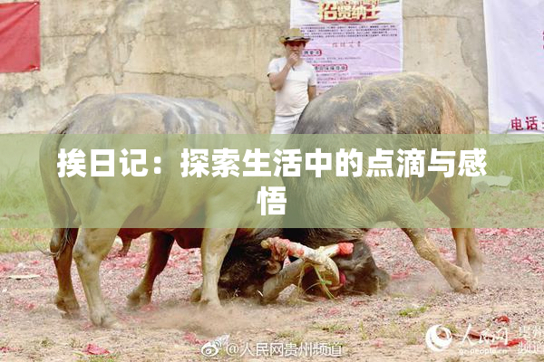 挨日记：探索生活中的点滴与感悟