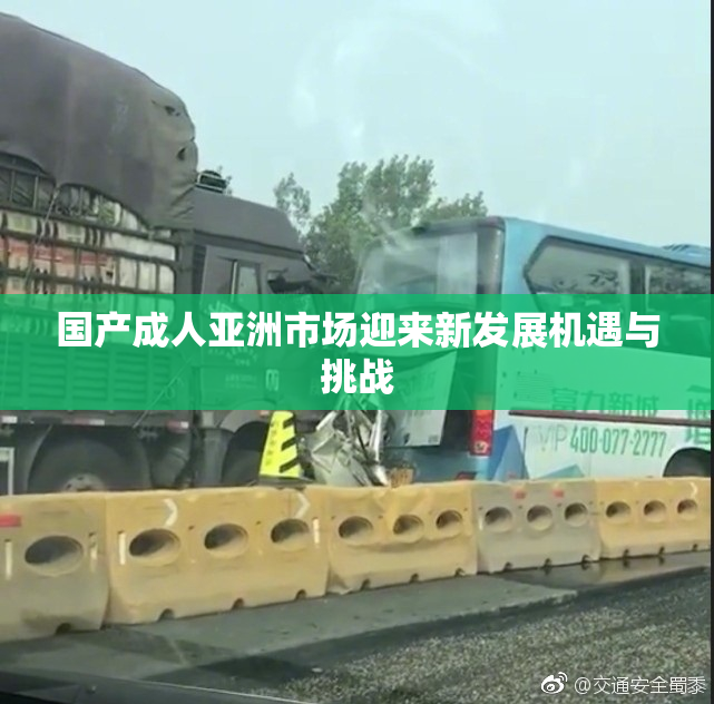 国产成人亚洲市场迎来新发展机遇与挑战