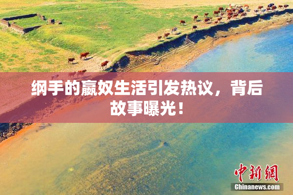 纲手的嬴奴生活引发热议，背后故事曝光！