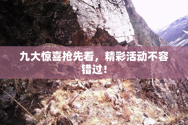 九大惊喜抢先看，精彩活动不容错过！
