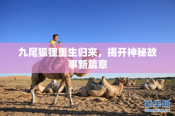 九尾狐狸重生归来，揭开神秘故事新篇章