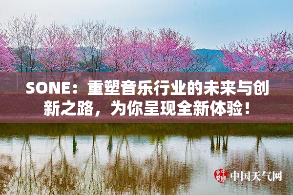 SONE：重塑音乐行业的未来与创新之路，为你呈现全新体验！