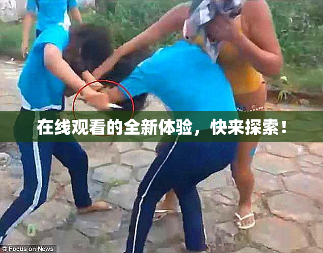 在线观看的全新体验，快来探索！