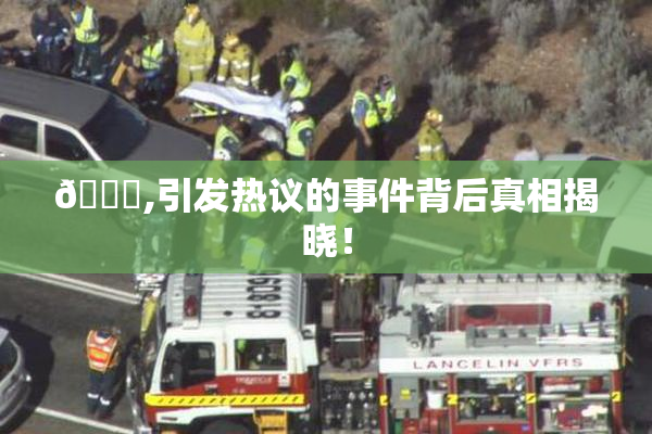 🈚,引发热议的事件背后真相揭晓！