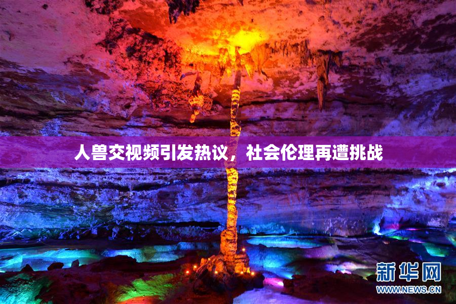人兽交视频引发热议，社会伦理再遭挑战