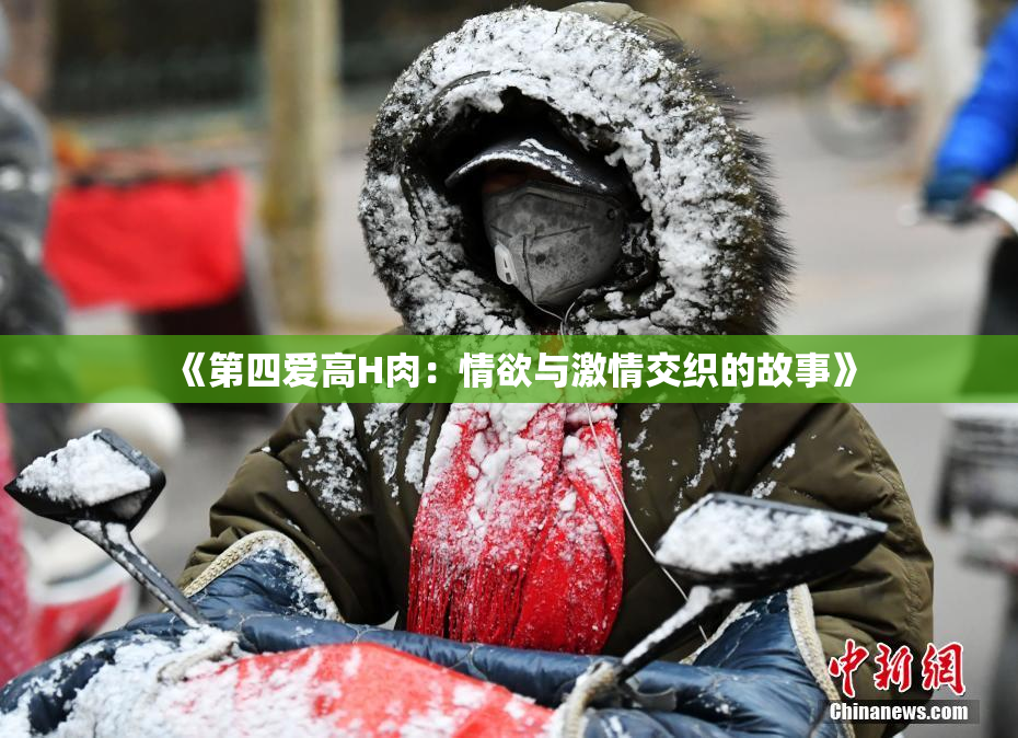 《第四爱高H肉：情欲与激情交织的故事》