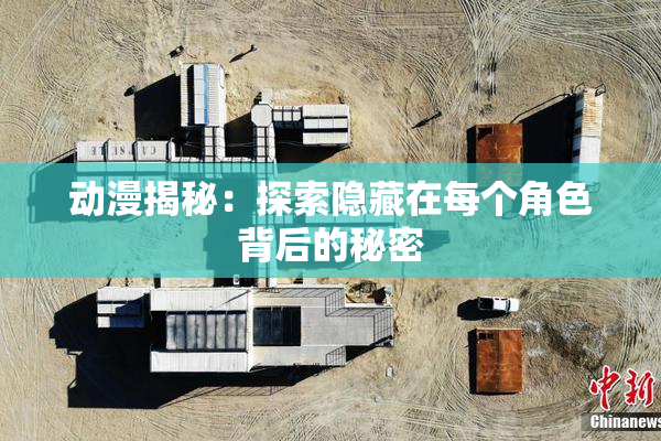 动漫揭秘：探索隐藏在每个角色背后的秘密