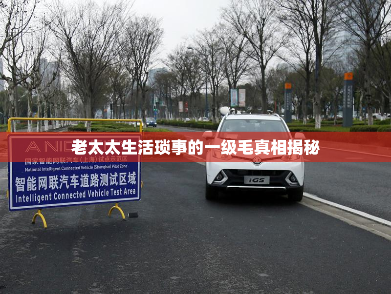 老太太生活琐事的一级毛真相揭秘