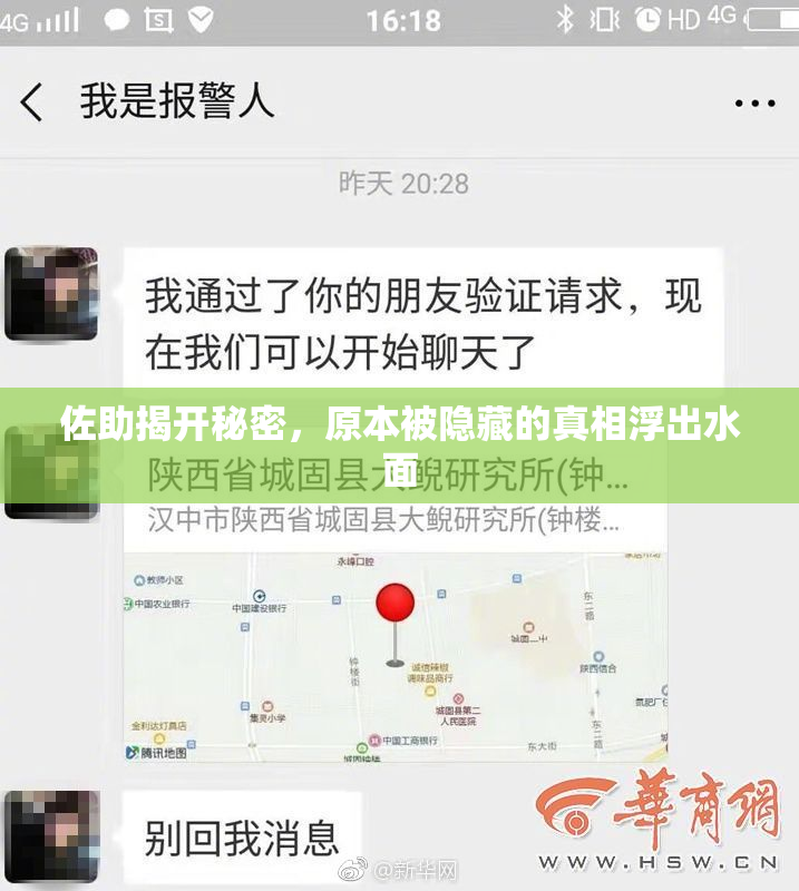 佐助揭开秘密，原本被隐藏的真相浮出水面