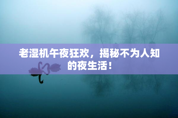 老湿机午夜狂欢，揭秘不为人知的夜生活！