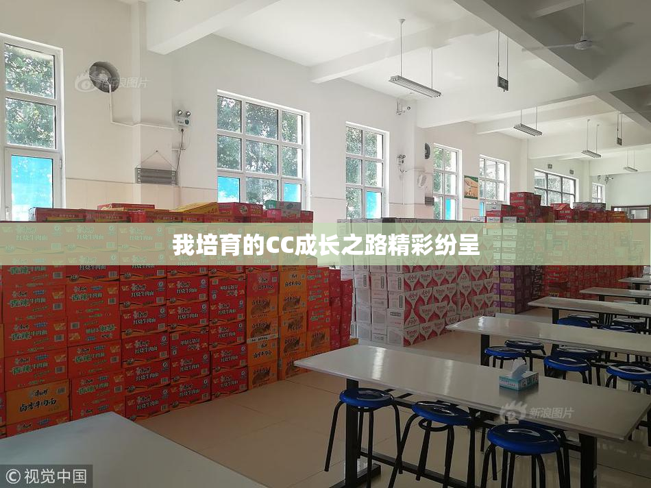 我培育的CC成长之路精彩纷呈