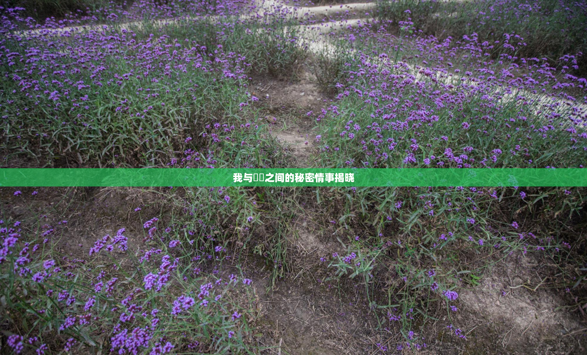 我与妺妺之间的秘密情事揭晓
