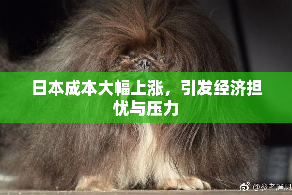 日本成本大幅上涨，引发经济担忧与压力