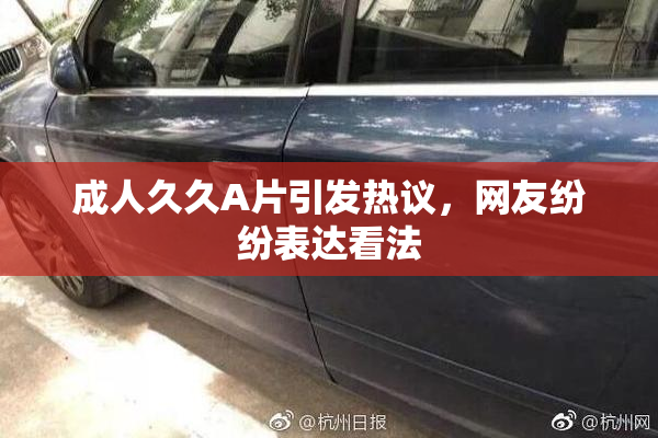 成人久久A片引发热议，网友纷纷表达看法