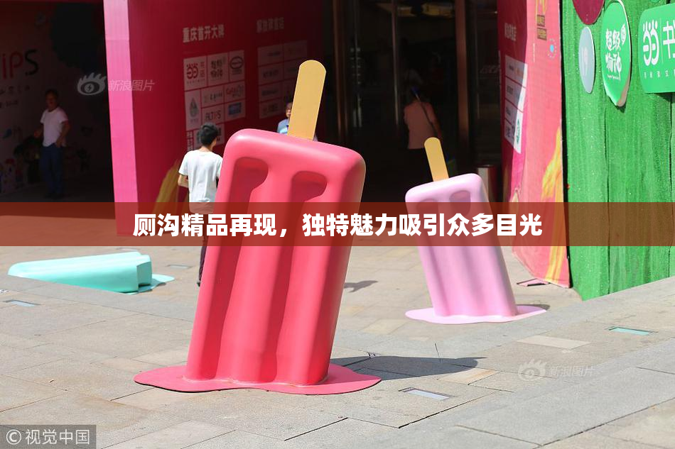 厕沟精品再现，独特魅力吸引众多目光