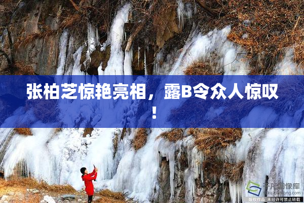 张柏芝惊艳亮相，露B令众人惊叹！