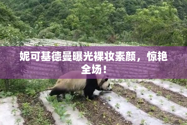 妮可基德曼曝光裸妆素颜，惊艳全场！