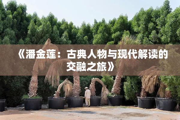 《潘金莲：古典人物与现代解读的交融之旅》