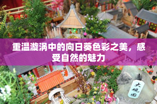 重温漩涡中的向日葵色彩之美，感受自然的魅力