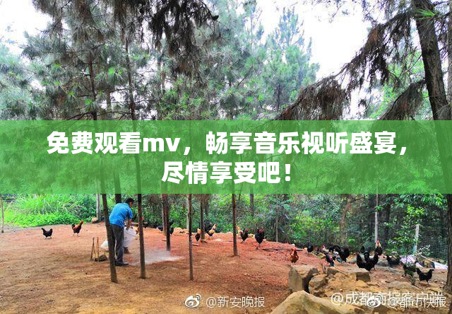 免费观看mv，畅享音乐视听盛宴，尽情享受吧！