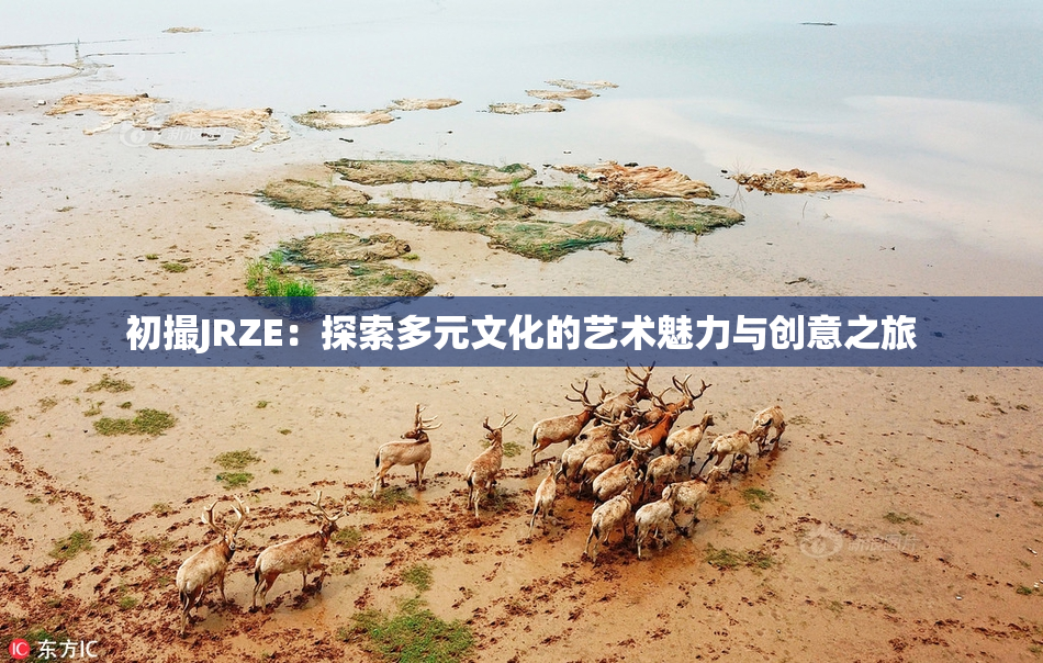 初撮JRZE：探索多元文化的艺术魅力与创意之旅