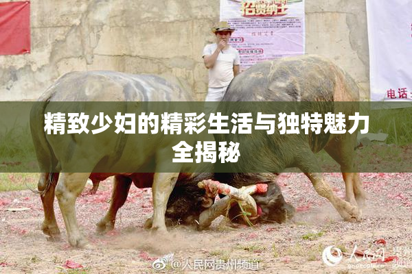 精致少妇的精彩生活与独特魅力全揭秘