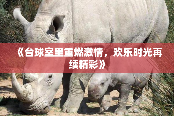《台球室里重燃激情，欢乐时光再续精彩》