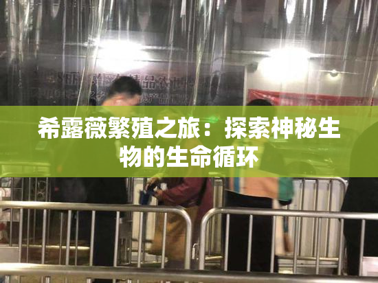 希露薇繁殖之旅：探索神秘生物的生命循环