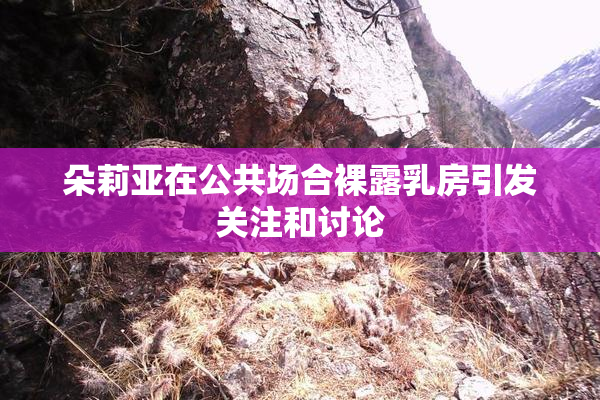 朵莉亚在公共场合裸露乳房引发关注和讨论