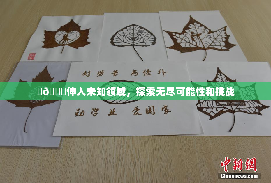 ‌🍌伸入未知领域，探索无尽可能性和挑战