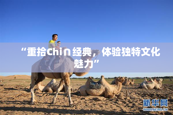 “重拾Chi∩经典，体验独特文化魅力”