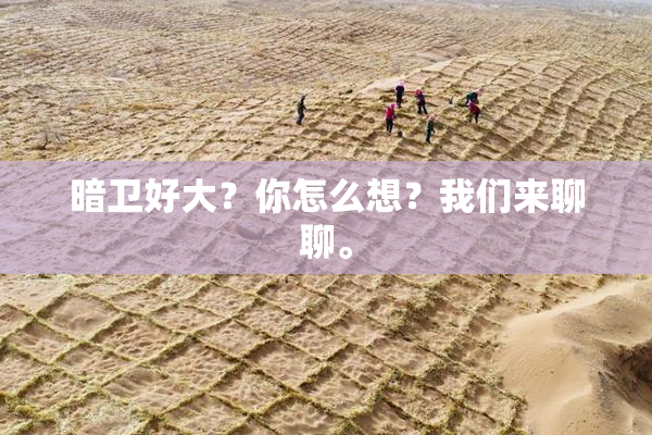 暗卫好大？你怎么想？我们来聊聊。