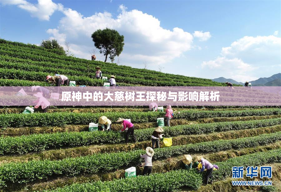 原神中的大慈树王探秘与影响解析